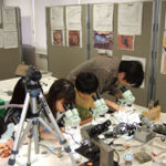 土壌動物観察会